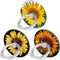 Bonoma Cell Phone Ring Holder Stand, 3 Pack Sunflowers 360 Rotation Universal Grip for Smartphones
