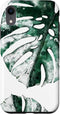 Monstera Deliciosa Swiss Cheese Plant iPhone XR Palm Leaf Monstera Variegata Swiss Cheese Plant Watercolor Case