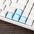 PATIKIL 1U Blank Keycaps, 5 Pack Universal PBT Keyboard Replacement Accessories for MX Mechanical Keyboard
