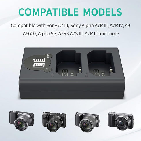NP-FZ100 Camera Battery Charger, LP Dual USB Charger with LCD Display, Compatible with Sony A6600 A9 A9R A9S A9II A7C A7SIII A7III A7RIII A7RIV A7IV Cameras, Charging Station for Sony NP-FZ100