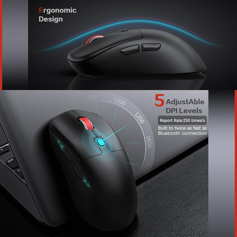 Wireless Keyboard and Mouse Combo, Quiet Click Full Size Design with Number Pad, Ergonomic Mouse with 5 DPI, 2.4G