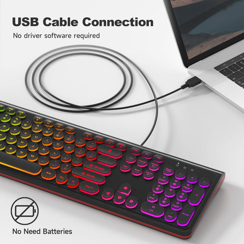 Dilter 7 8 10 11 USB Wired Computer Keyboard with Backlit - Full Size Office Keyboard with Number Pad, Caps Indicators