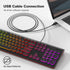 Dilter 7 8 10 11 USB Wired Computer Keyboard with Backlit - Full Size Office Keyboard with Number Pad, Caps Indicators