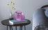 HANNLOMAX HX-327CD Portable CD Player with AM/FM Radio, Aux-in, AC/DC Dual Power Source (Purple)