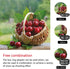 Meike MK-S-AF3B Auto Focus Extension Tube - 10mm 16mm for Sony A7 A7M2 NEX 3 NEX 5 NEX 6 A6600 A5000 A6000 A6100 A6300