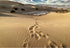 7x5ft Desert Landscape Photography Background, Blue Sky White Clouds Natural Scenery for Party Decorations