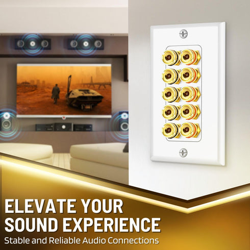 TNP Products 5 TNP Home Theater Wall Plate - Banana Plug Wall Plate, Speaker Wire with Gold-Plated Terminals, Single