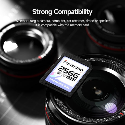 fanxiang 256GB C10, U3, V30, 4K 100/50 SDXC Memory Card SD Card, UHS-I, Full-HD & Video, Up to MB/s Read/Write