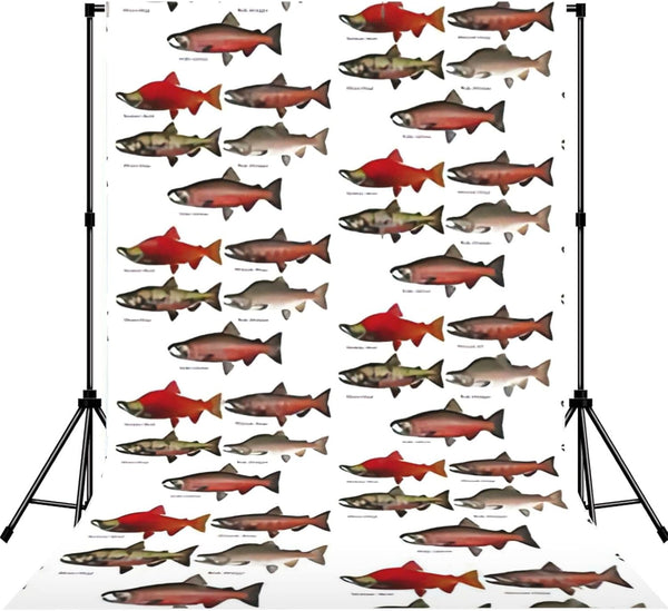 YQxwJL Salmon Print Studio Backdrop, Large Photo Backdrop for Professional Photography Studio and