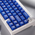 PBT Double Shot Blue Keycaps Set, Cherry Profile Translucent Keycaps, 114 Keys Fit for 60% 65% 95% Mechanical Keyboards