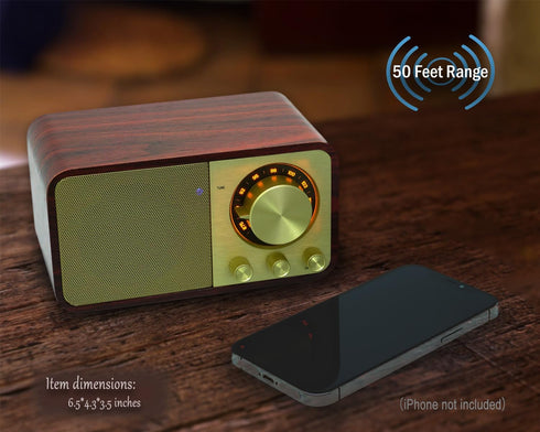 FM Radio with Bluetooth, Vintage Bluetooth Speaker with SD/USB Music Player, Wireless Streaming, Up to 10 Hours Playback