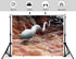 KeyWork 6x6ft Sperm Cell Backdrop Microscopic Reproductive Tissue View Photography Background for Medical Conference