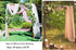 Lavender Wedding Arch Draping Fabric, 29" x 20FT Sheer Drapes for Ceremony, Arbor, Stairs Swag Decoration