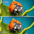 DRAMLOR 10 1 52mm 10 7 in Phone Camera Lens Kit, Clip-on Glass CPL Polarizing Lens for iPhone with x Macro Lens, Color
