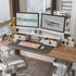 Dual Monitor Stand with 2 Drawers, Large Desktop Organizer for 2 Monitors, PC/Laptop/TV/Printer Storage, White & Pink
