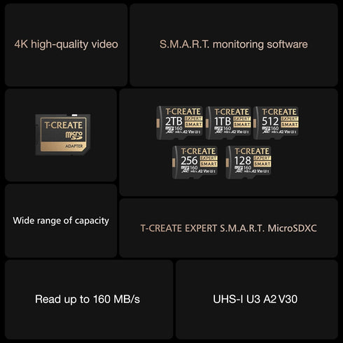 TEAMGROUP T-CREATE S.M.A.R.T A2 256GB Micro SDXC U3 V30 Flash Memory Card, Compatible with GoPro, Insta360