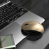 seenda Wireless Mouse with Nano USB Receiver, Noiseless 2.4G Wireless Mouse for MacBook, Notebook, PC (Black & Gold)
