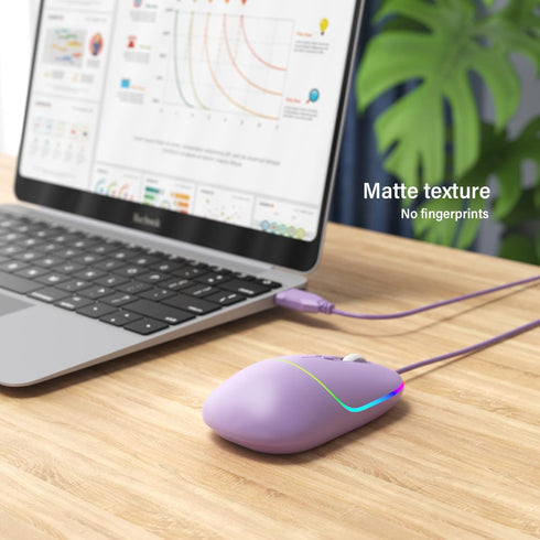 Wired Mouse, LED Computer Mouse Wired, 4 Adjustable DPI up to 6400 Ultra Silent Optical Tracking USB Mouse for Laptop