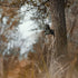 SPYPOINT MA-500 Fully Adjustable Trail Camera Mount, Swivel Tilt, Pan Tilt Game Camera Mount for Hunting