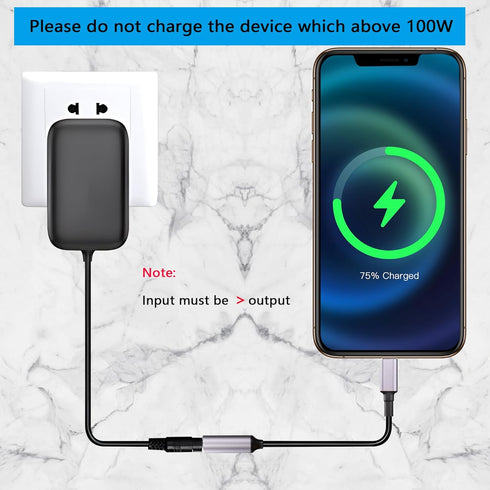SinLoon PD 100W DC 7.4mm x 5.0mm Female Input to USB Type C Male Power Charging Cable, 100W DC7450 to Type C Cable
