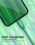 LIQUIPEL Powertek 6 ft iPhone Charger Cable, Fast Charging Lightning to USB Cord Adapter, MFI Certified (Green)