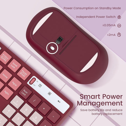 Wireless Keyboard and Mouse Combo, Lovaky 2.4G Full-Sized Ergonomic Keyboard Mouse, Quiet Click for Computer/Laptop