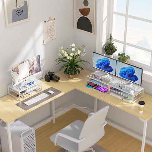 gianotter 2-Tier Metal Monitor Stand Riser, Desk Organizer for Office Supplies in White