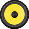DriSentri 10 Inch Bass Loudspeaker Woofer Speaker, Car Speakers Wide Frequency Response Car
