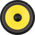 DriSentri 10 Inch Bass Loudspeaker Woofer Speaker, Car Speakers Wide Frequency Response Car