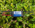 ZTW G2 40A 4A/5V Shark Series Bi-Direction Water Cooling Brushless ESC with SBEC for RC Boat and Other DIY Project