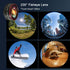 Phone Camera Lens Kit 10 in 1 for iPhone, Samsung, Android, 22X Telephoto, 0.62X Wide Angle, Macro, Black
