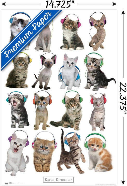 Trends International Keith Kimberlin-Kittens-Headphones Wall Poster - 14.725" x 22.375", Premium Unframed Version