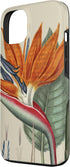 Paradiesvogel Botanical 13 Bird of Paradise Botanical, Tropical Plant Case for iPhone