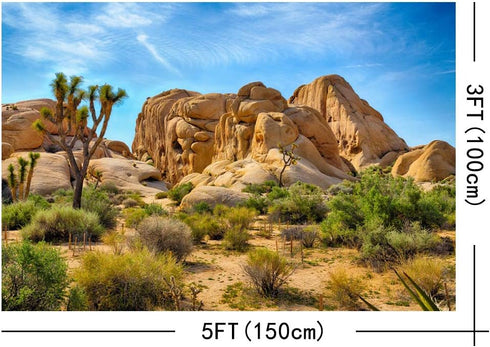 Sandstone Desert Mountain Backdrops, Yeele 5x3ft Vinyl Blue Sky White Clouds Cactus Tropical Landscape Photography