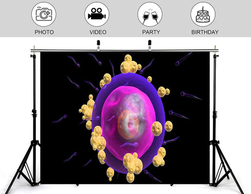 KeyWork 7x7ft Human Egg Cell Fertilization Backdrop Reproductive Science Photography Background for Health Fair
