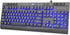 Rii RK900Pro Large Print Backlit Keyboard,Wired USB Full Size Computer Keyboard with Blue