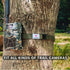 Trail Cam Straps, Game Camera Strap with Long-Lasting Alloy Buckle, Durable Nylon Fiber for Wildlife Trial Camera