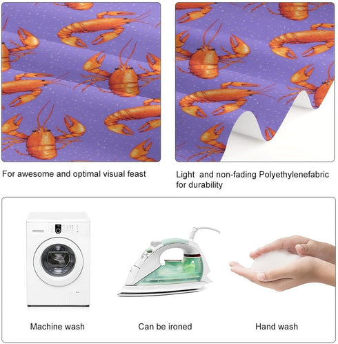 Generic Lobster Pattern Funny Backdrop Background for Photography Photo Photoshoot Screen Parties Curtain