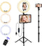 Ring Light with Stand and Phone Holder, 10'' LED Selfie Ring Light with Tripod for Video Recording and Makeup