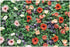 MOONDECO Flower Wall Backdrop Colorful Floral Photography Background Mixed Color Gerbera Daisy Photo Banner Girls Women