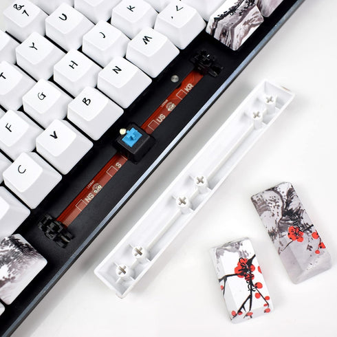 MOLGRIA Keycaps 71 Set for Gaming Mechanical Keyboard - Custom PBT OEM Profile Key caps with Keycap Puller for Cherry