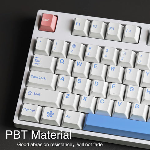 PBT Cherry Profile White Keycaps for Mechanical Keyboards, 153 Key Dye Sub MX Stem Key Caps Set for 60/65/75 Percent