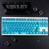 mintcaps Crystal Clear Keyboard Keycaps, Transparent PC Cherry Profile Blue Keycap Set for MX Switches
