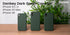 iPhone XR Case, Matte Shockproof Drop Protection, Slim Minimalist Cover, Forest Green, 6.1 Inches - Dark Green