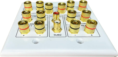 Speaker Wall Plate, 7.2 Home Theater, 2 RCA Wall Plate, Gold Plated Binding Posts for Speaker Setup