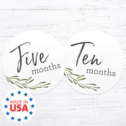 Baby Milestone Signs, Greenery Monthly Milestones, Botanical Infant Photo Prop
