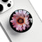 Translucent Clear Phone Grip with Expanding Kickstand, Pink Daisy Flower Design for Smartphones