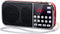 PRUNUS J-189 Bluetooth AM FM Radio, Small Portable Radio with Dual Speaker Heavy Bass, LED Flashlight, Pocket Size, TF