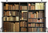 Etsyoki 8X6FT Brown Bookshelf Backdrop Library Modern Retro Bookcase Photography Backdrops Home Office Zoom Meeting