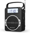 Portable AM FM Digital Radio with Bluetooth, Rechargeable, Loud Speaker, Best Reception for Home Outdoor, Black